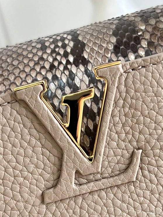 CAPUCINES LOUIS MINI VUITTON 0728